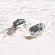 Twist Shell Dome Earrings