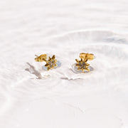 North Star Crystal Studs