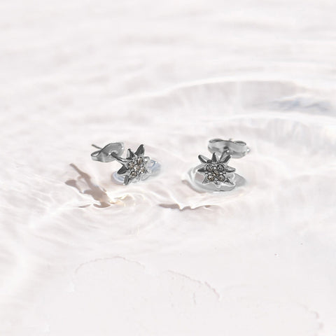 North Star Crystal Studs