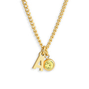 Custom/Personalized Initial Pendant Necklace w/ Birthstone - EVRYJEWELS