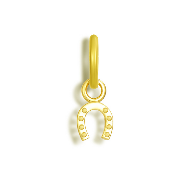 Good Fortune Charm - EVRYJEWELS