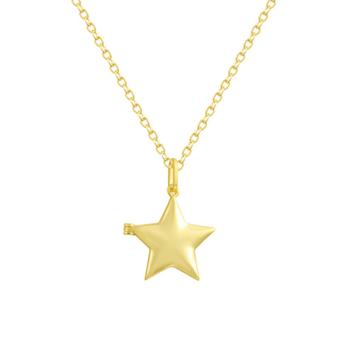 Popstar Locket - EVRYJEWELS