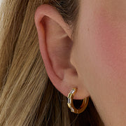 Prism Earrings
