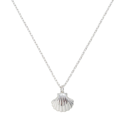 Seashell Necklace - EVRYJEWELS