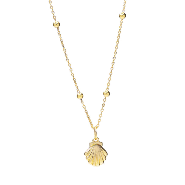 Shell Glow Necklace
