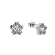 Starstruck Earrings - EVRYJEWELS