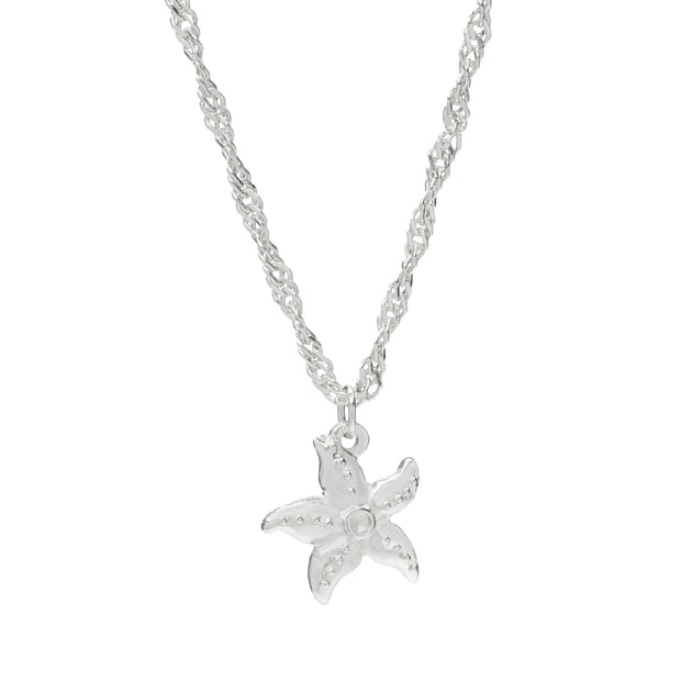 Star of the Sea Necklace